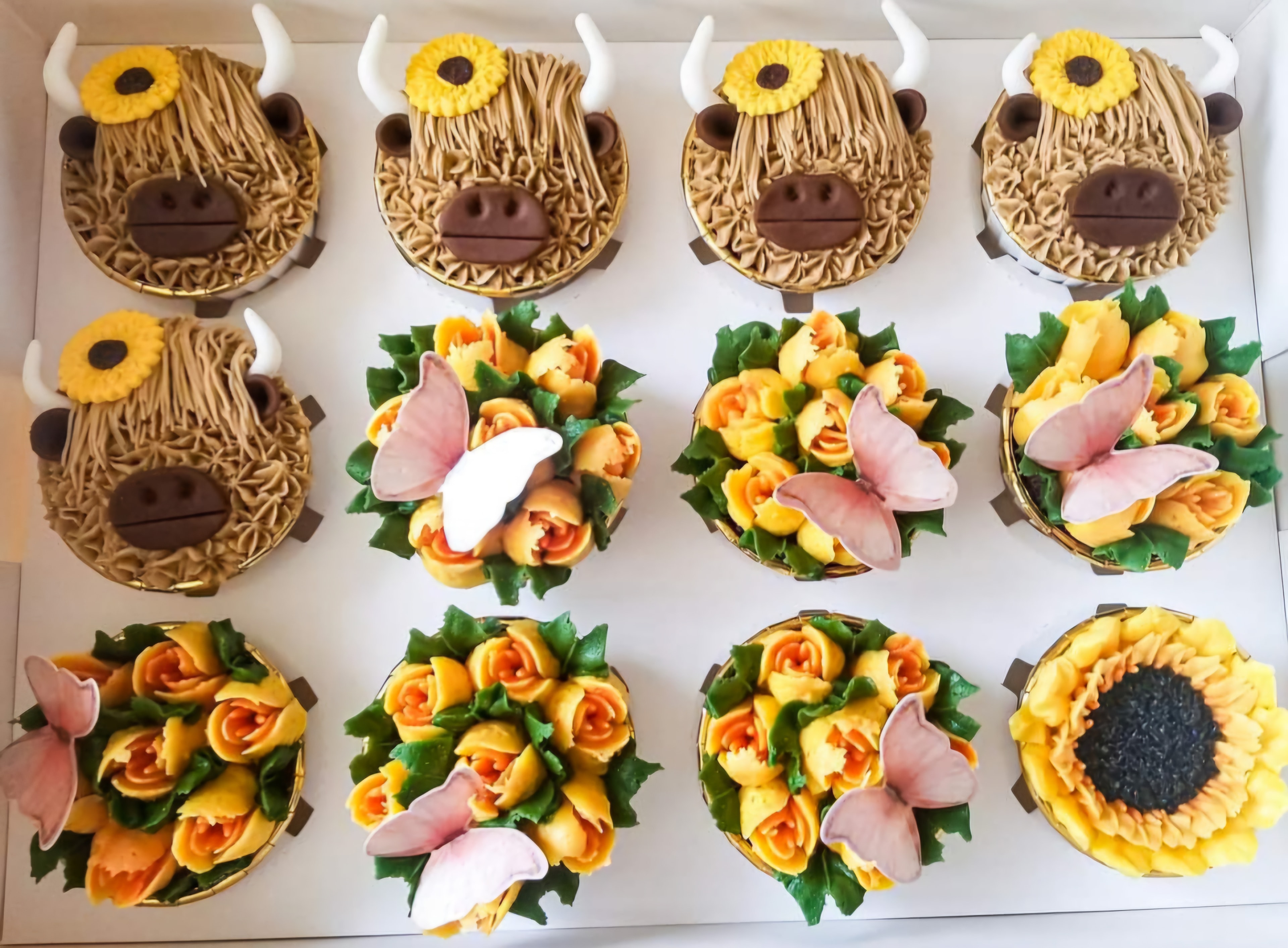 Highland cow and sunflower cupcakes with butterfly accents